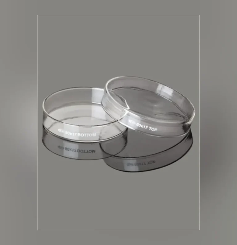 Borosilicate Glass Petri Dish
